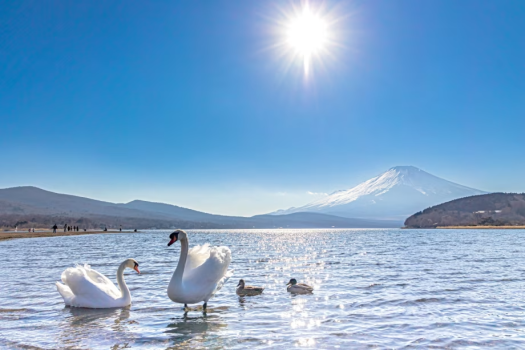 【素泊り】富士山の絶景を望む・1棟貸切のプライベートヴィラで過ごす非日常体験～家族や仲間と自由に楽しむ”リゾート旅”～