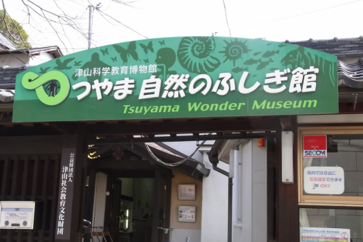 つやま自然のふしぎ館（外観）