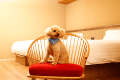 【ドッグフレンドリーフロア】かけがえのない愛犬とのご旅行に（イメージ）