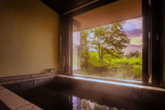 誰にも邪魔されない自分だけの半露天風呂。木立の景色が静かな彩りを添える。