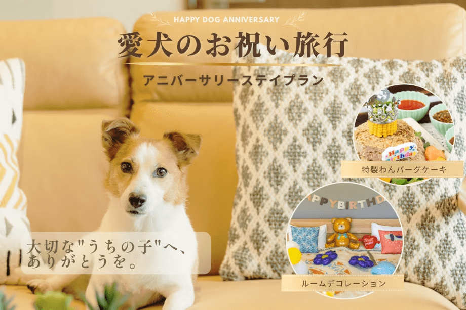 ◆愛犬のお祝い旅行◆大切な"うちの子記念日"を祝うアニバーサリーステイプラン✨＜記念日特典付き＞