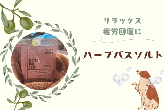 ❄《冬のワン旅キャンペーン》第１弾❄「最大20％OFFのオトク旅！」～さらにワンちゃん用ごはん無料！＆ 極上の入浴を楽しむ&rdquo;ハーブバスソルト&rdquo;特典付き🌿～