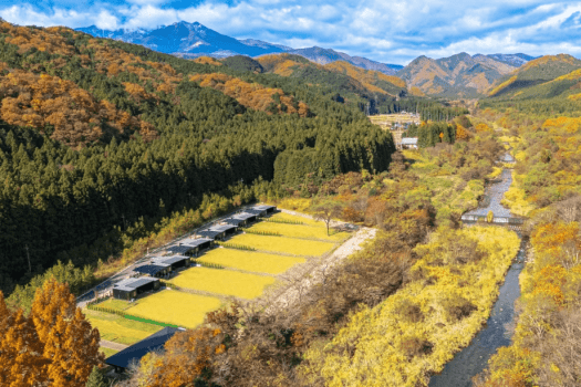 ■マンスリー・ドッグ・セレブレーション■今月のラッキー犬種は&hellip;？「対象犬種＆ミックス犬限定」わんちゃんディナー無料＆フォトブース撮影会！お支払いはピッタリ価格で💫