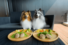 《開業1周年記念・第2弾》愛犬と味わう・グルメ旅「旬をまるごと堪能する料理長こだわりプラン」■おひとり25,800円～■ワンちゃん用夕食プレゼント＆嬉しいドリンクサービス付き【1泊2食付き】