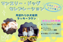 ■マンスリー・ドッグ・セレブレーション■今月のラッキー犬種は&hellip;？「対象犬種＆ミックス犬限定」わんちゃんディナー無料＆フォトブース撮影会！お支払いはピッタリ価格で💫
