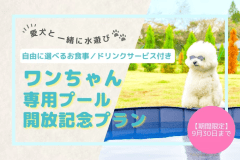 🐾《ワンちゃん専用プール開放記念プラン》🐾4月～9月までの期間限定！■おひとり16,800円～■プールで遊ぶ愛犬と過ごす思い出づくりのご滞在【自由に選べるお食事／ドリンクサービス付き】