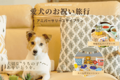 ◆愛犬のお祝い旅行◆大切な"うちの子記念日"を祝うアニバーサリーステイプラン✨<記念日特典付き> ◆愛犬のお祝い旅行◆大切な"うちの子記念日"を祝うアニバーサリーステイプラン✨<記念日特典付き>