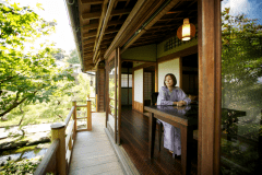 数寄屋造り離れ/泉亭