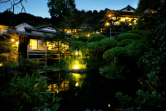 古き良き日本建築を今に残す本格的な数奇屋造り