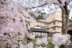 満開の桜と離れ・延寿閣