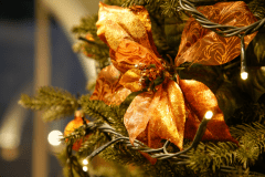 今年のクリスマスは誰と過ごしますか？