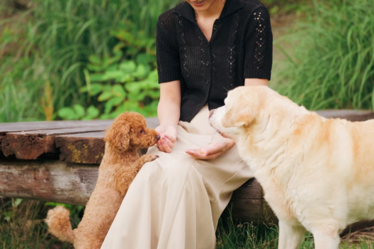 【HAPPY BIRTHDAY！愛犬記念撮影📸】～特別な一日を写真に～ワンちゃんとの記念旅行🎂