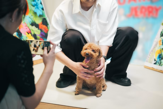 【HAPPY BIRTHDAY！愛犬記念撮影📸】～特別な一日を写真に～ワンちゃんとの記念旅行🎂