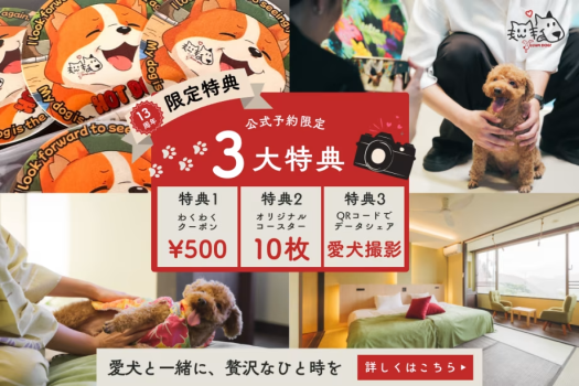 公式限定