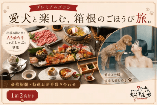 【豪華絢爛💎特選お刺身盛り合わせ✨】相模の海の幸満喫プレミアムプラン 【豪華絢爛💎特選お刺身盛り合わせ✨】相模の海の幸満喫プレミアムプラン