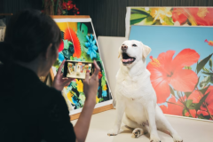 【HAPPY BIRTHDAY！愛犬記念撮影📸】～特別な一日を写真に～ワンちゃんとの記念旅行🎂