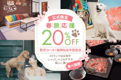 【公式限定🌸春旅応援20％OFF】【贅沢コース！銘柄仙台牛認定店】A5ランク仙台和牛しゃぶしゃぶ＆牛すき極上ご膳食べ放題