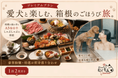 【豪華絢爛💎特選お刺身盛り合わせ✨】相模の海の幸満喫プレミアムプラン