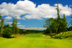 「洲本ゴルフ倶楽部」淡路島の美しい自然を活かした個性的なコース