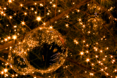 今年のクリスマスは、温泉リゾートで「ちょっと特別」な思い出に！