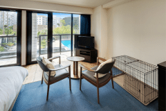 ≪ドッグフレンドリースタンダード（カーペットフロア）≫ワンちゃんとご宿泊可能なお部屋です