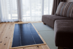 ≪ドッグフレンドリーグランデ（カーペットフロア）≫ワンちゃんとご宿泊可能なお部屋です