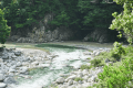 木陰エリアの前を流れる神崎川 木陰エリアの前を流れる神崎川