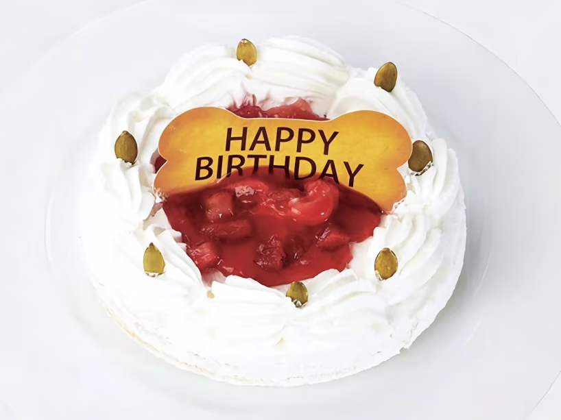 わんちゃんケーキ