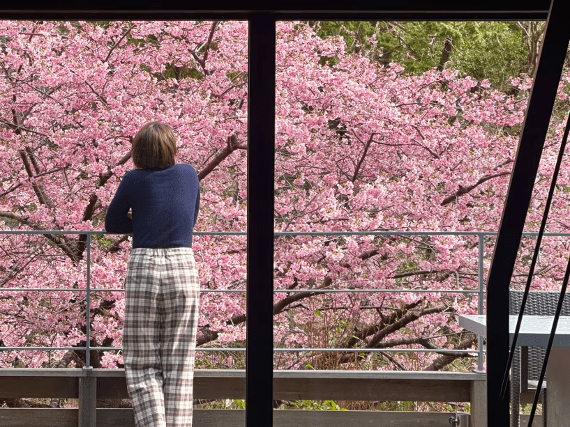 <1泊2食>【河津桜まつり】別邸COCOROのテラスで河津桜を独り占め|会場近くの駐車場貸し出しなど特典付 <1泊2食>【河津桜まつり】別邸COCOROのテラスで河津桜を独り占め|会場近くの駐車場貸し出しなど特典付