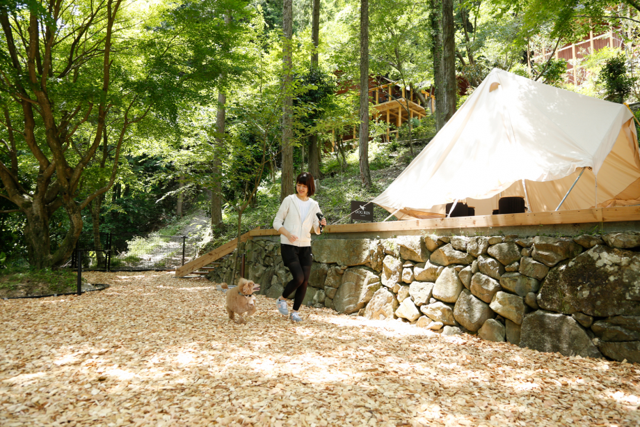 木のチップを敷き詰めたドッグラン。里山の自然に寛ぐ愛犬との休日をお過ごしください。