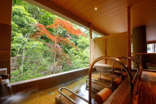 河畔風呂「せせらぎ」 低温浴風呂の寝湯(一例) 河畔風呂「せせらぎ」 低温浴風呂の寝湯(一例)