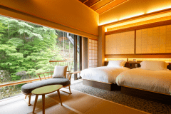 モデレートツイン（一例）