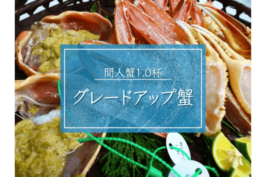 【グレードアップ蟹】選り抜き活間人蟹1杯■刺身・炭火焼・すき鍋で食べ尽くす｜極みカニフルコース