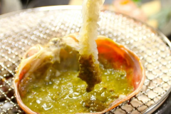 【選定地蟹】活松葉がに0.5杯＋特選ズワイガニ1.0杯｜地蟹和みコース