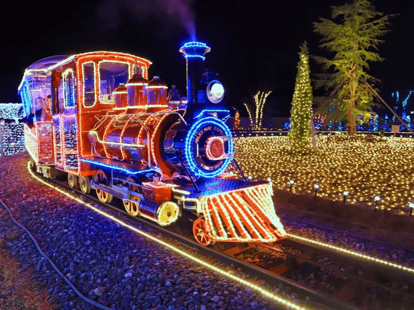 光に包み込まれ、光で遊ぶ体験空間【HIKARIUM】銀河鉄道ミルキーウェイ