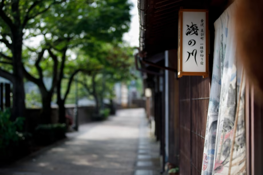 Overflowing beauty visible from the second floor - Buildings in an Important Traditional Building Preservation District - Private villa Overflowing beauty visible from the second floor - Buildings in an Important Traditional Building Preservation District - Private villa