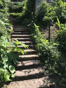 月見草【石段３０段】～客室前からの様子～ こちらの石段の上り下りがございます