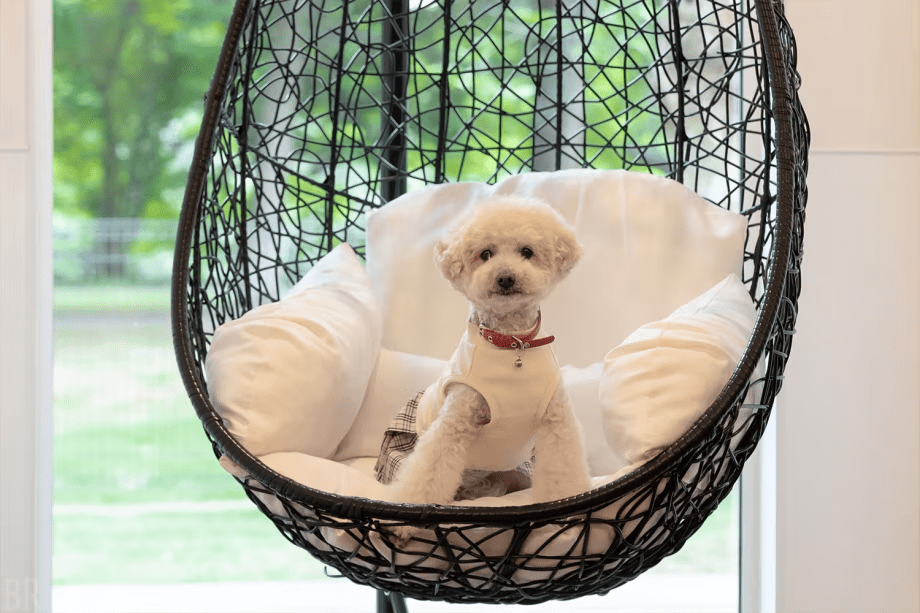 【いぬやど会員限定10％OFF】平日だけのお得ステイ♪プール＆ドッグラン付きヴィラ＜素泊まり・持ち込みOK＞