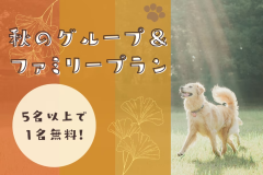 【素泊り】■5名様以上で”1名分無料”■≪グループ＆ファミリー旅プラン≫～紅葉絨毯と星空が彩る、愛犬と過ごす夢のような時間。秋を満喫する贅沢ステイ～＜素泊まり＞