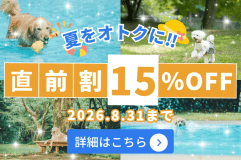 【直前割15%OFF】＜特定日限定＞愛犬と過ごす夏の思い出🍉日本最大級のドッグランをお得に満喫！8月末までの特別割引【素泊り】