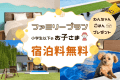 ■ファミリープラン■＜小学生以下無料✨＞わんちゃんご飯プレゼント付🎁家族と愛犬と過ごす特別な滞在。期間限定プラン【選べるお食事】
