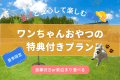 【夏季限定】愛犬と安心して楽しむ夏旅｜ワンちゃん専用おやつ付き特典プラン〈食事選択自由〉