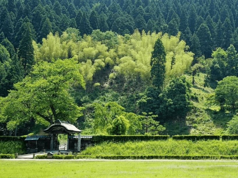 一乗谷朝倉氏遺跡は国の重要文化財・特別史跡・特別名勝に指定されています。