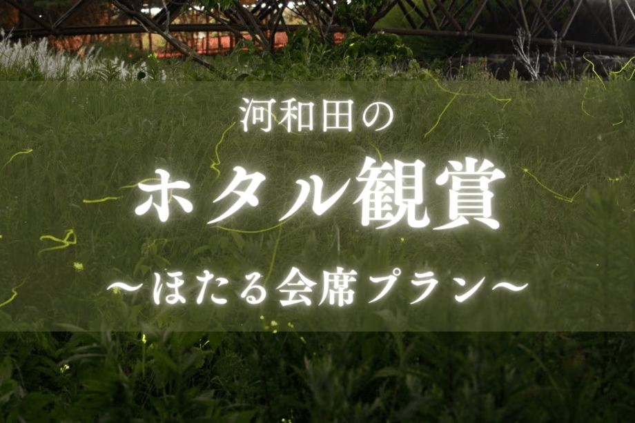 初夏の河和田で幻想的に舞うほたるを鑑賞！当館イチオシのほたる会席プランです！