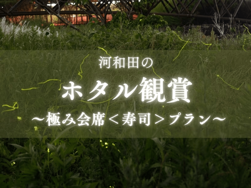 初夏の河和田で幻想的に舞うほたるを鑑賞！福井の贅を尽くした極み＜握り寿司＞プランです！