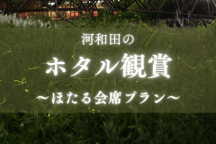 初夏の河和田で幻想的に舞うほたるを鑑賞！当館イチオシのほたる会席プランです！