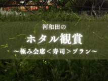 初夏の河和田で幻想的に舞うほたるを鑑賞！福井の贅を尽くした極み＜握り寿司＞プランです！