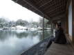 【冬の養浩館庭園】大きな池を中心に広がるお庭と、その池に浮かぶように建つ建物が作り上げる寛ぎの空間