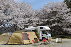 オートキャンプサイトAC電源あり