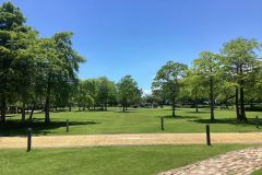 【日帰りキャンプ】公園で遊んでBBQも♪ 充実設備で手軽に楽しむデイキャンププラン